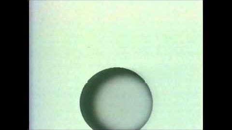 ВИD Of Doom Remix 2014