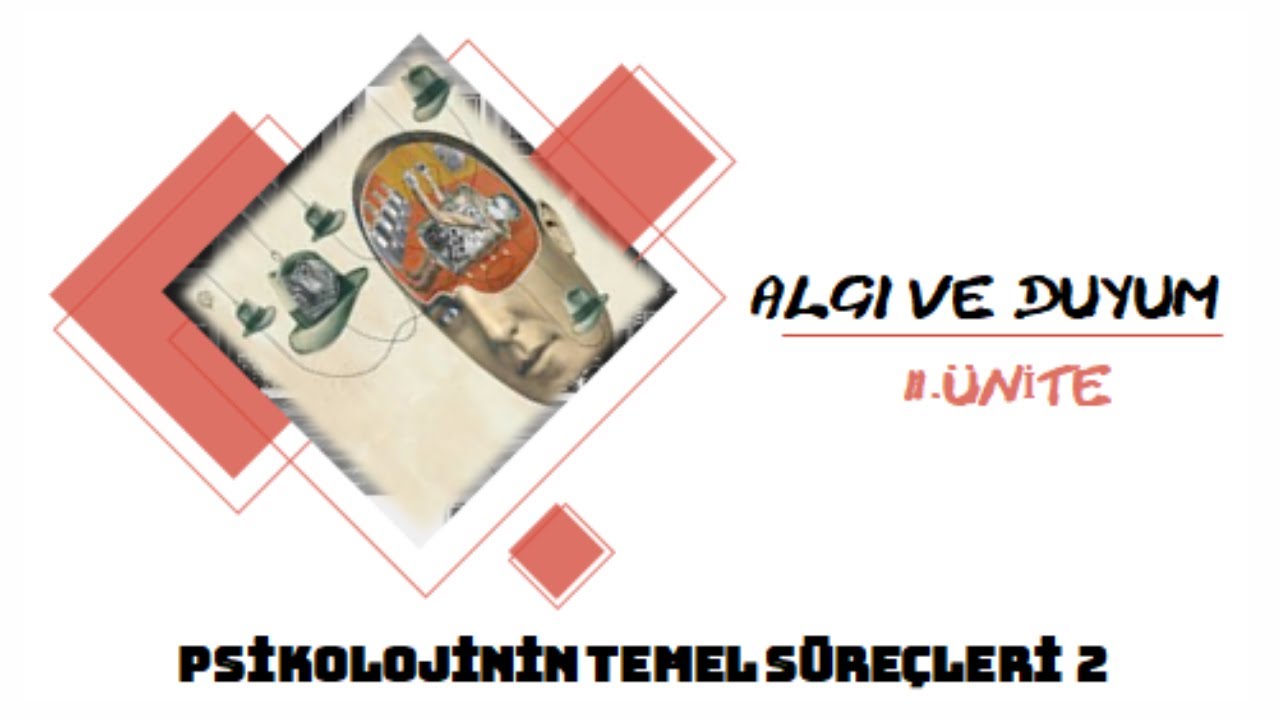 Duyum ve Algı (AYT-Felsefe Grubu) #9