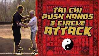 Tai Chi | Push Hands | 3 circle attack | Mark Rasmus Feb 2016