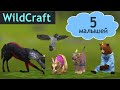 РОДИЛОСЬ 5 МАЛЫШЕЙ! Baby Boom в WildCraft!