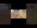 This RC truck is a super fast strong beast