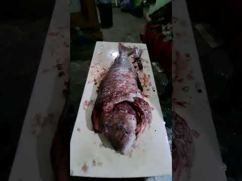 طريقة المناسب لتنظيف الحوت الحوت
