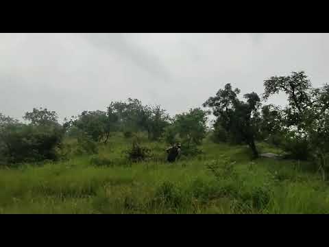 Aravali hills trekking in Monsoon. - YouTube