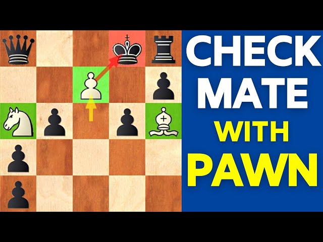 10 Opening Traps Every Chess Player Should Know! - Remote Chess