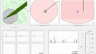 EMG Simulator