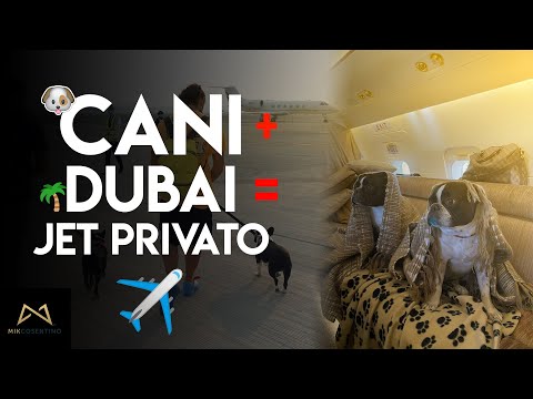 Video: Come Volare A Dubai?