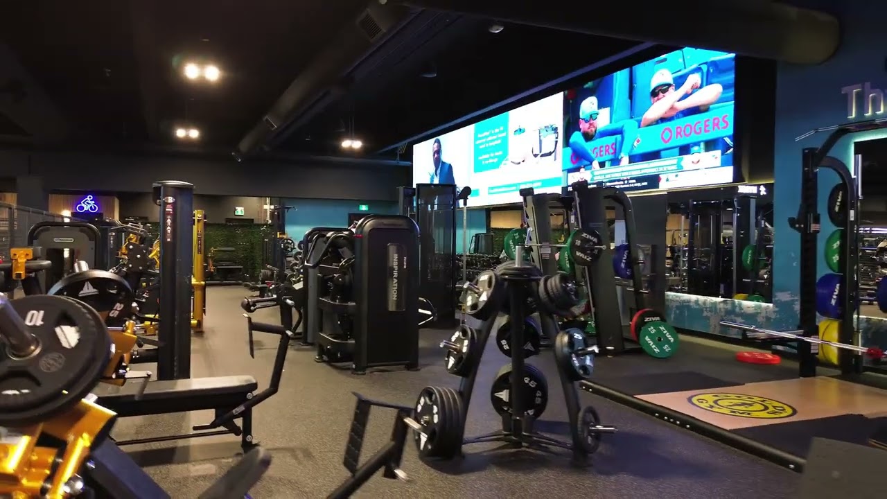 24/7 Gym in Northeast Calgary | Gold's Gym Village Square