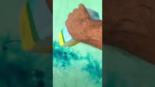 Matando Algas Da Piscina