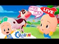 🔴 DIRECTO 🔴 Canciones infantiles y vídeos educativos de Cleo y Cuquín
