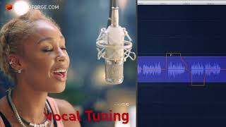 Sound Forge Audio Studio 12 Overview
