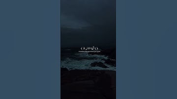 {هو يحيي ويميت واليه ترجعون} القارئ عبد الرحمن مسعد ||راحه نفسيه😔♡ اكتب شيء تؤجر عليه♥