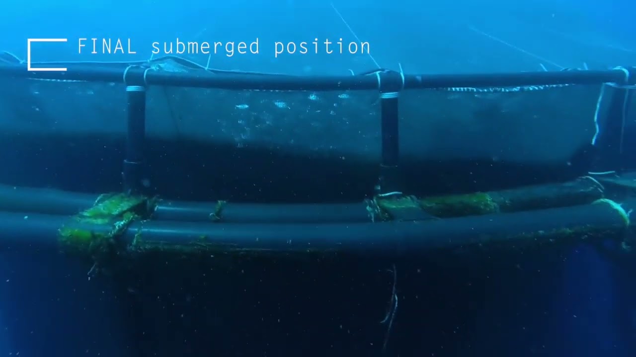 Submersible Cage – OCEANIS 2 - Aquaculture North America