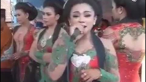 TAYUB TUTUPE WIRANG (ADI LARAS) ALA MALANGAN