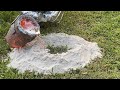 Florida Anthill Casting #8