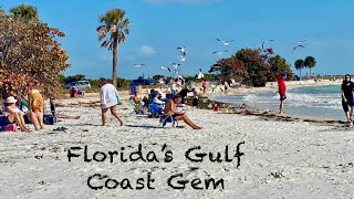 Our Amazing Visit to Florida’s Gulf Coast Gem, Honeymoon Island State Park ☀