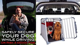 How to Secure Your Dog Properly When Driving