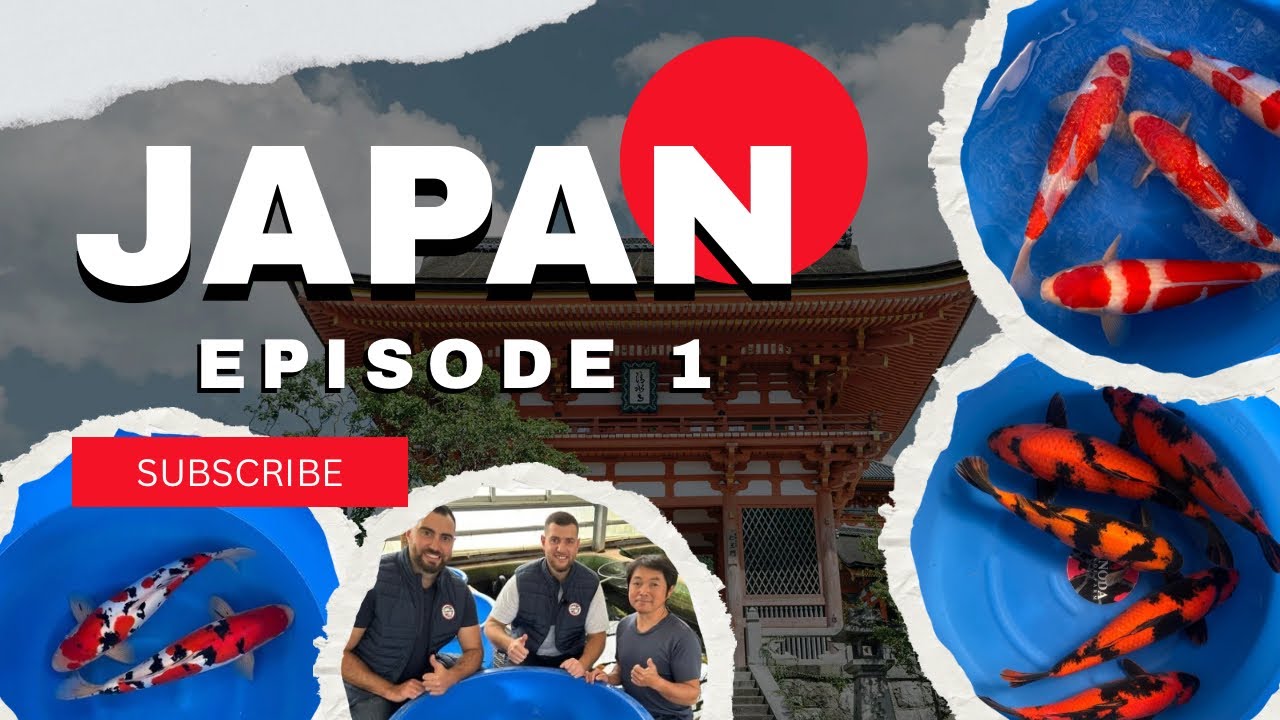 LES SÉLECTIONS COMMENCENT – ÉPISODE 1