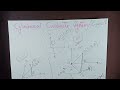 Cylindrical Polar Coordinate System || Easy Method to Understand ||  Lec#01(a)