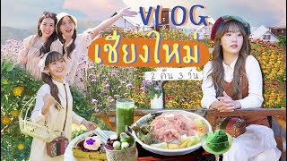 🏳️‍🌈VLOG เที่ยวเชียงใหม่ 3วัน2คืน ขึ้นม่อนแจ่ม เที่ยวสวนดอกไม้ ตามรอยกลิ่นกาสะลอง [NAME FRAME]