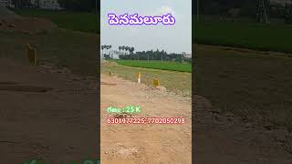 #openplots penamaluru #vijayawada #bandarroad #penamaluru #kankipadu #vanukuru #kanuru #crda #loan