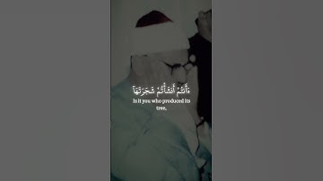 أَفَرَءَيْتُمُ ٱلنَّارَ ٱلَّتِى تُورُونَ | محمد صديق المنشاوي | سورة الواقعة