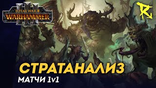 [СТРИМ] Стратанализ | Матчи 1v1 | мультиплеер Total War: Warhammer 3