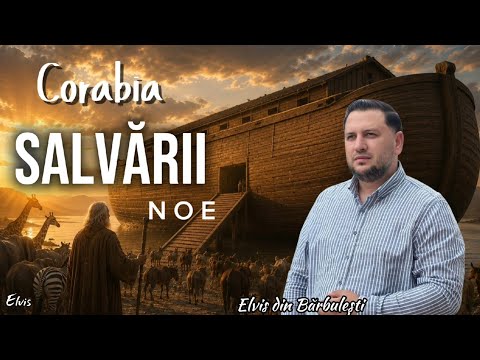 CORABIA SALVARI (Noe) -Elvis din Barbulesti feat Amira