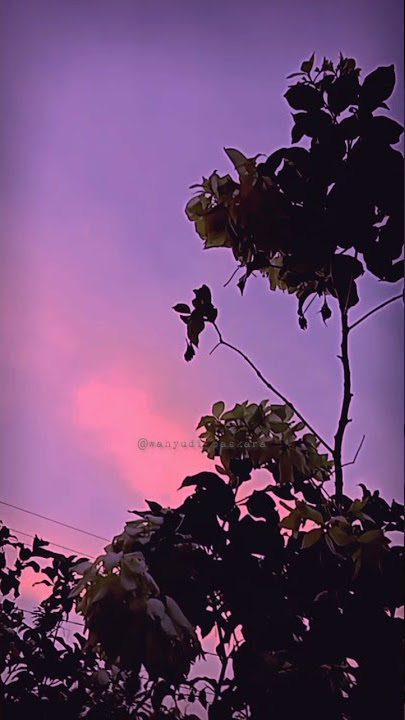 Story' terbaru SENJA#mentahan #shorts