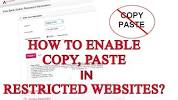 how to copy and paste on apex learning