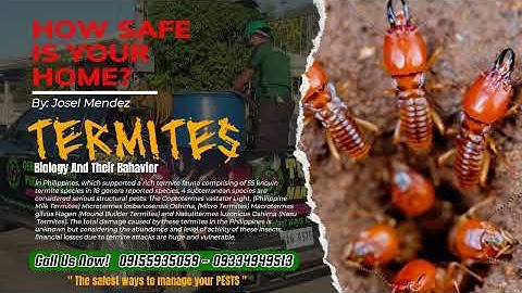 Gerboudenviro Music Ultimatum Vol. 2