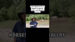 Learn about farm animals & become bilingual through real-world experiences with Mrs. Luna 🐎🌟