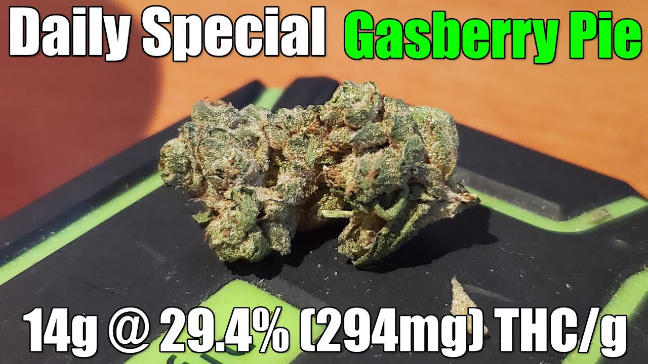 Daily Special - Gasberry Pie - Unboxing Review - 14g @ 29.4% (294mg) THC/g (+Extreme Closeups)