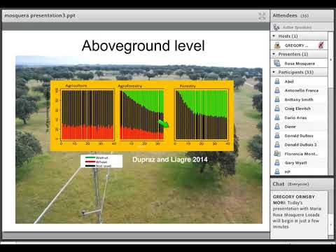 Advancing Agroforestry in Europe: An update from EURAF