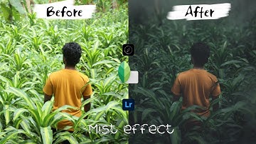 Moody mist effect photo editing workflow | Snapseed | Lens distortions | Lightroom