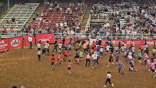 Mesquite Championship Rodeo on August 24 - 2024 Mesquite Championship Rodeo on August 24 - 2024