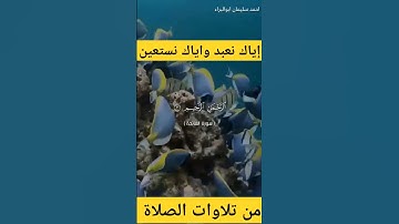 إياك نعبد واياك نستعين #احمد_سليمان_ابوالبراء #اكسبلور #راحة_نفسية #تلاوة  #حالات_واتس #explore