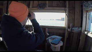 Late Season Hunting Michigan Deer 2025