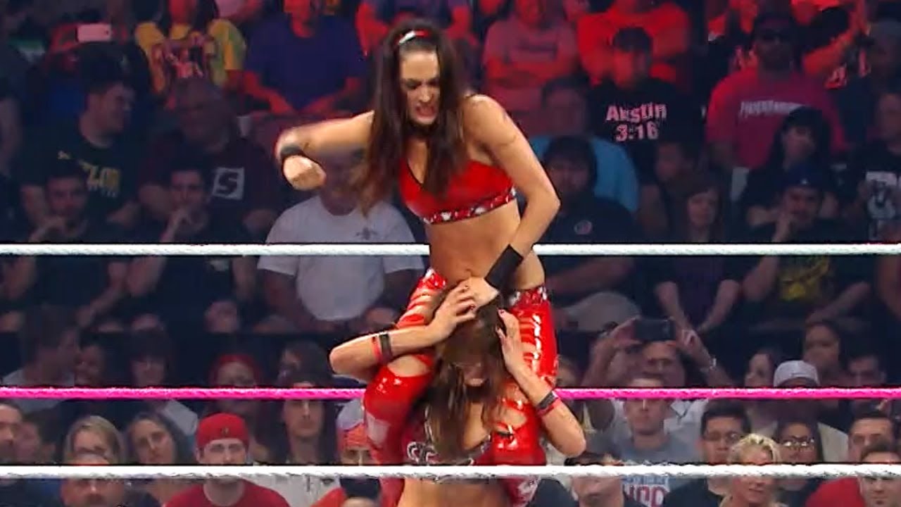 Nikki Bella And Brie Bella Fight