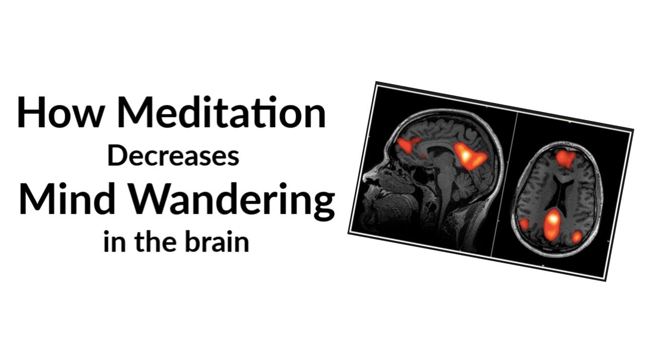 Image showcasing How Meditation Reduces Mind Wandering in the Brain - YouTube