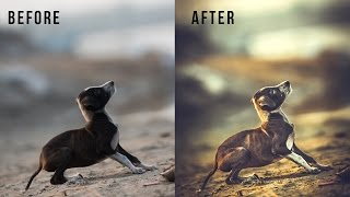 Lightroom CC 2017 | Color Grading Photo Effects Pupy screenshot 3