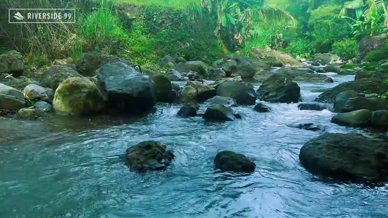 River Sounds for Sleeping All Night | Relaxing Water Flow White Noise