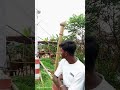 পিকসআপ একরে গরু নিলে ফোন দিন 01977054366 #automobile #viralvideos #unfrez #unfrez #viralposts