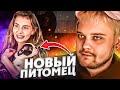 НОВЫЙ ПИТОМЕЦ | ЗАКИДАЛИ ДОНАТАМИ