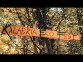 Calabria eco fest part uno camping in the heart of the calabrian forest