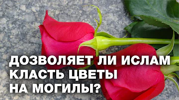 Класть цветы на могилы? Спросите имама
