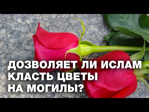 Класть цветы на могилы? Спросите имама