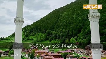 القارئ رعد الكُردي🌹 ما تیسر من سورة النازعات