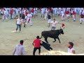 San Fermin Festival - Pamplona 2019 (Including Running of the Bulls)