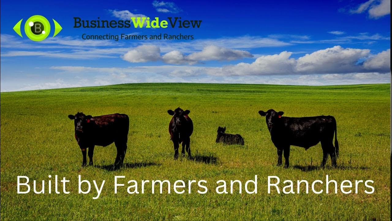 Nov 21 25 Cattle Report YouTube