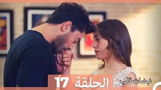 نبضات قلب الحلقة 17 HD